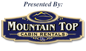 Blue Ridge Ga Cabin Rentals